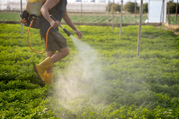 Pest Control Cost in Occidental, CA